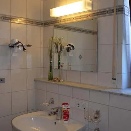 Regenscheit