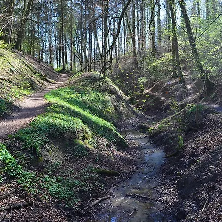 Regenscheit Gasthof *