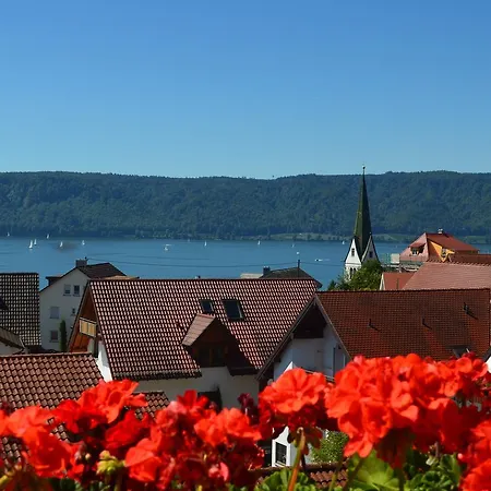 Regenscheit * Sipplingen