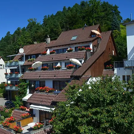 Regenscheit