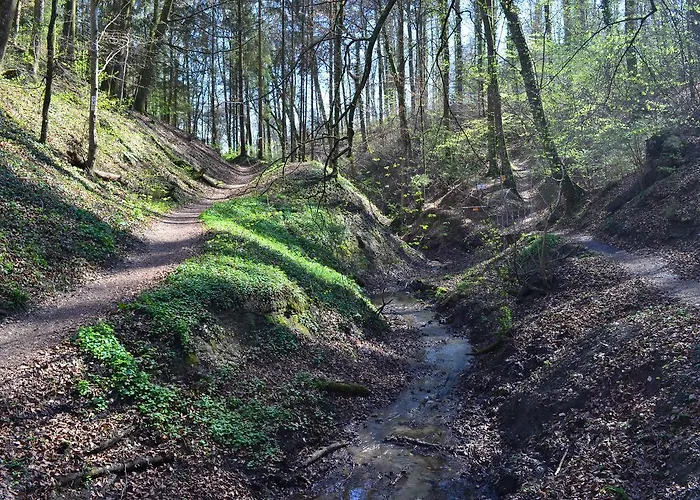 Regenscheit Гостевой дом *