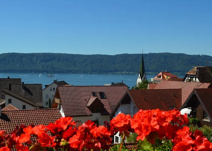 Regenscheit * Зипплинген